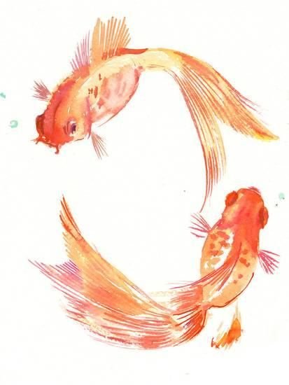 Золотая рыбка акварелью вид сверху