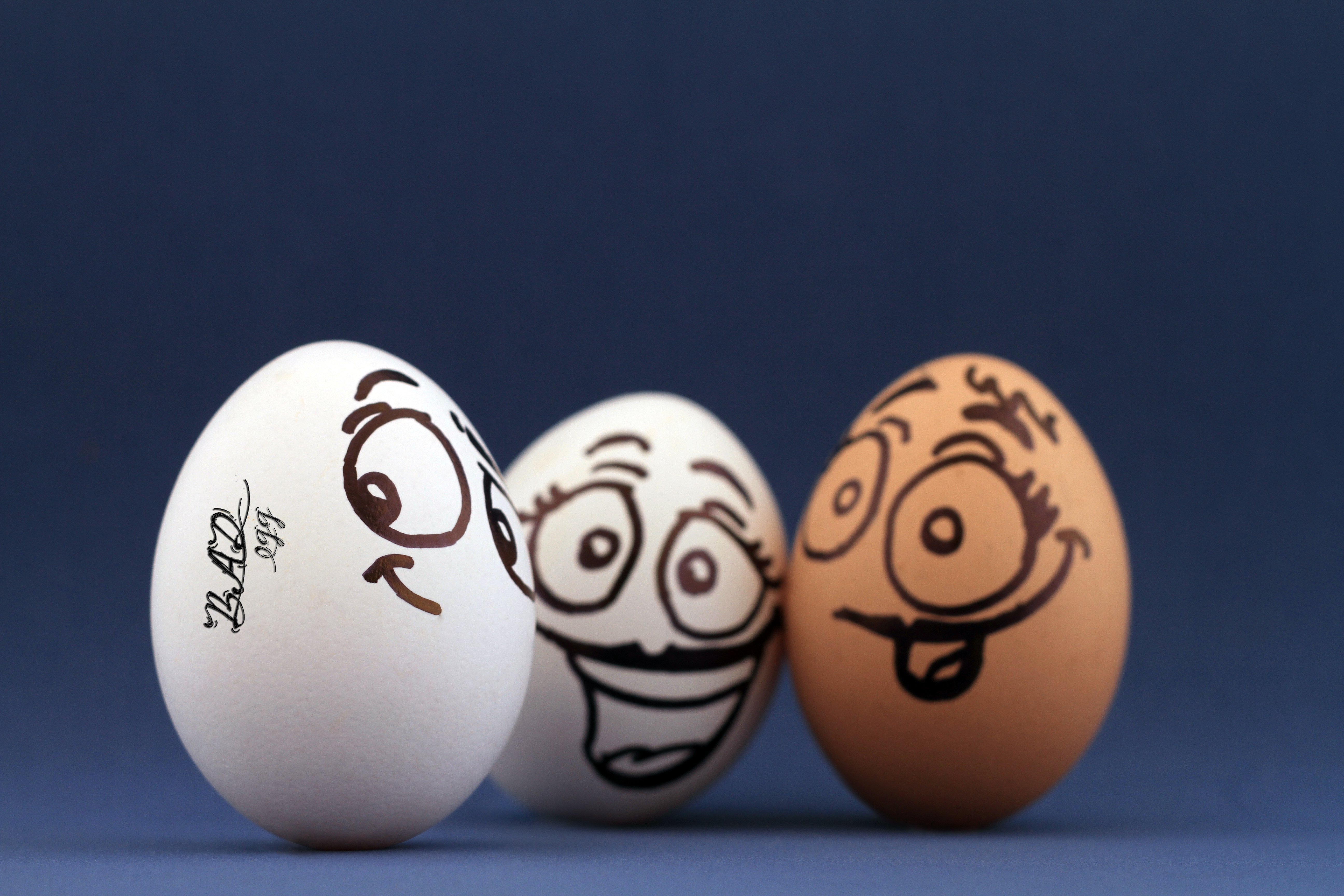 Милое яичко. Яйцо. Яйцо рисунок. Мордашки на пасхальных яйцах. Забавные яйца.