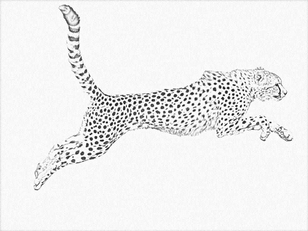 Рисунки для срисовки леопард