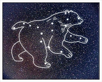 Умка хочет летать — Пляцковский м.с.