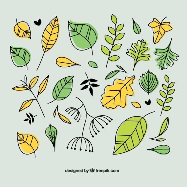 Пальмовые листья акварель