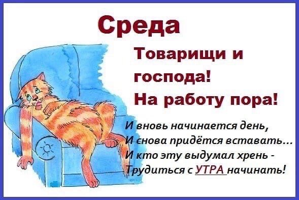 Стих про среду прикольный