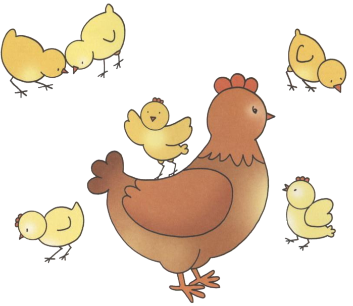 Домашние птицы ранний возраст. Занятие "Курочка и цыплята" Бондаренко. Цыпленок рисунок. Цыпленок рисунок для детей. Курица с цыплятами рисунок.