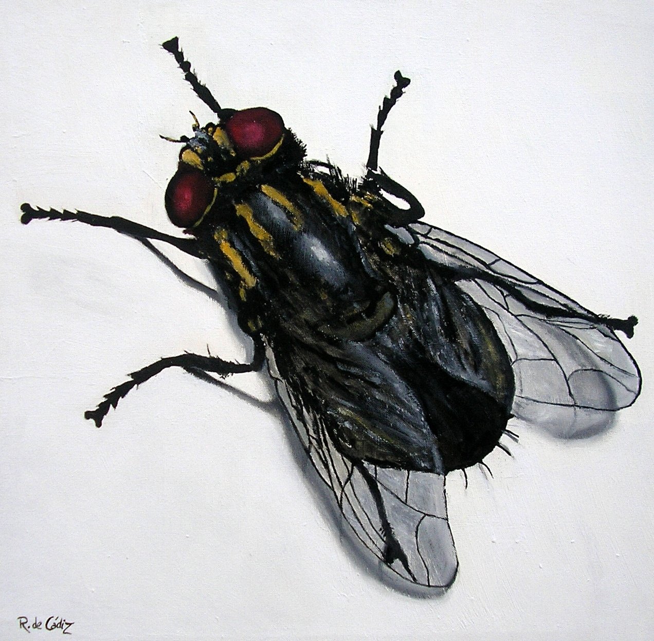 Изображение мухи