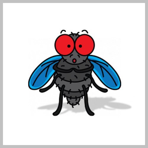 Муха рисунок