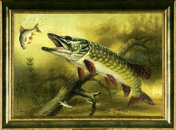 Щука картина