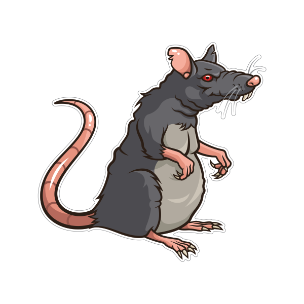 Мышь шушара