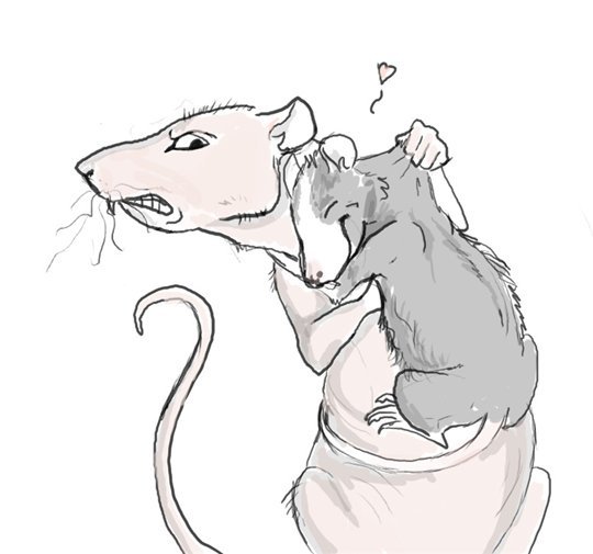 Мышь сбоку рисунок