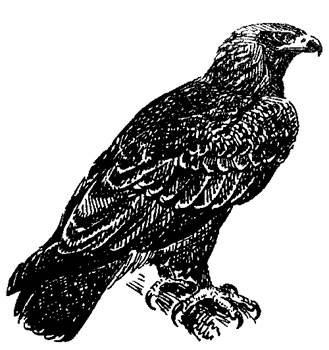 Могильник в Ильменском заповеднике