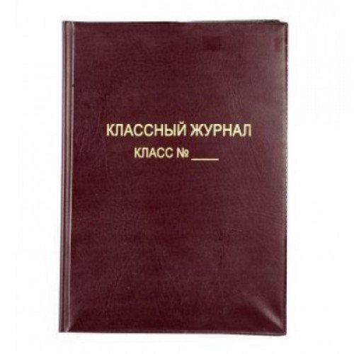 Надпись классный журнал