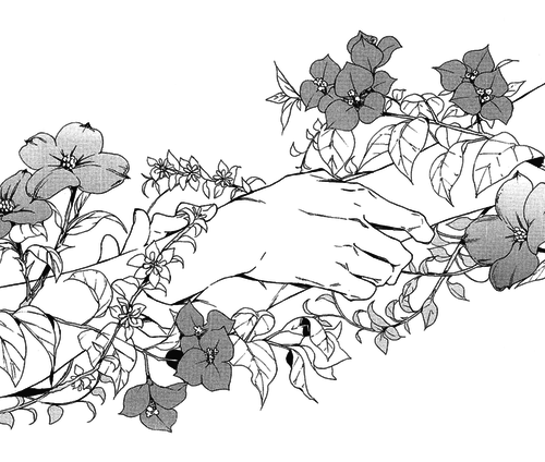 Цветы карандашом необычные