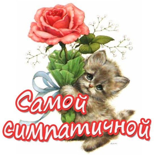 Красотка надпись