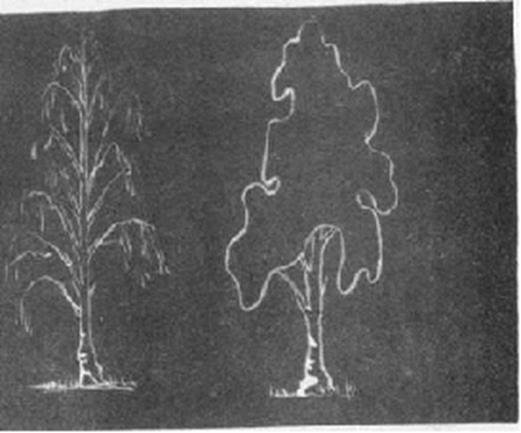 Надписи на доске в школе