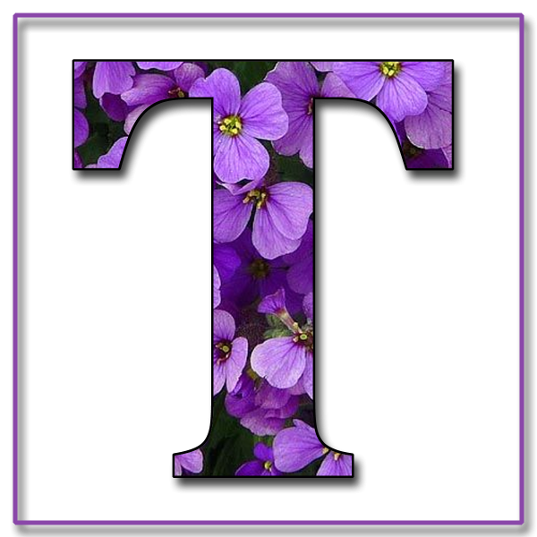 Красивые сиреневые буквы