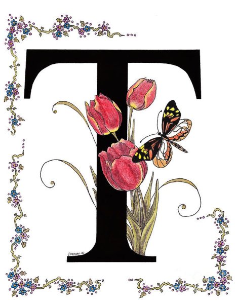 Рисуем букву т красиво