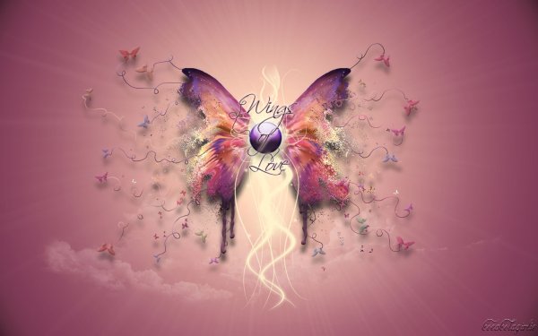 Сердечки бабочки цветочки