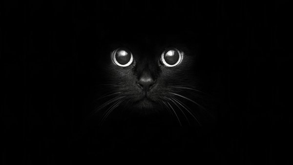 Обои Минимализм