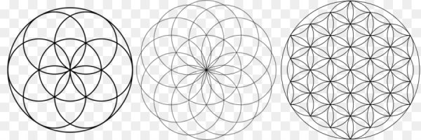 Сакральная геометрия круги