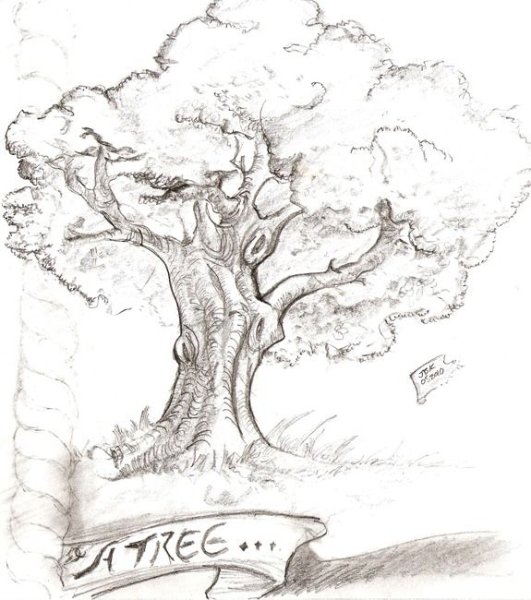 Дуб рисунок легкий