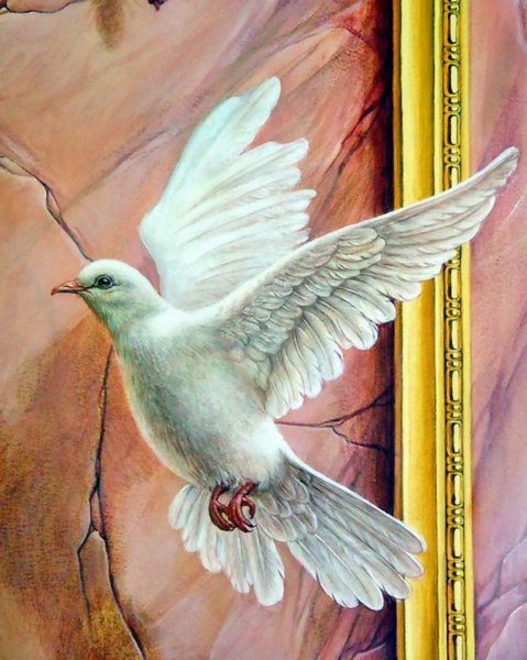 Белый голубь живопись