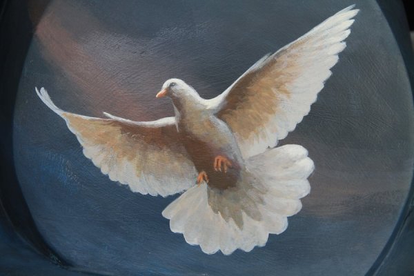 Голубь красками