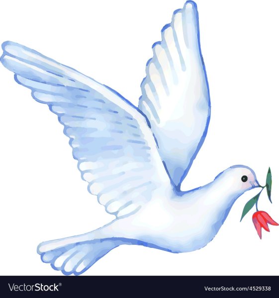 Белый голубь для детей
