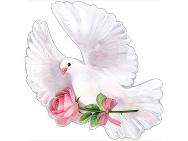 Голуби для украшения