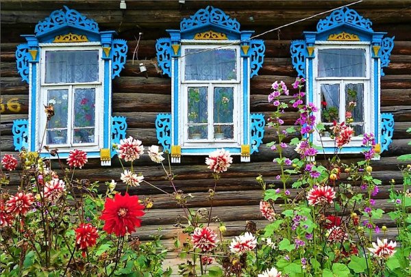 Деревенский домик с цветами