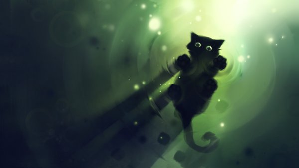 Удивительная красота воды