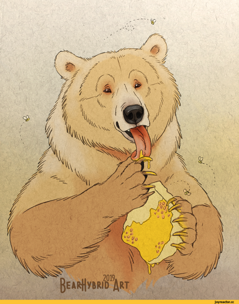 Медведь арты