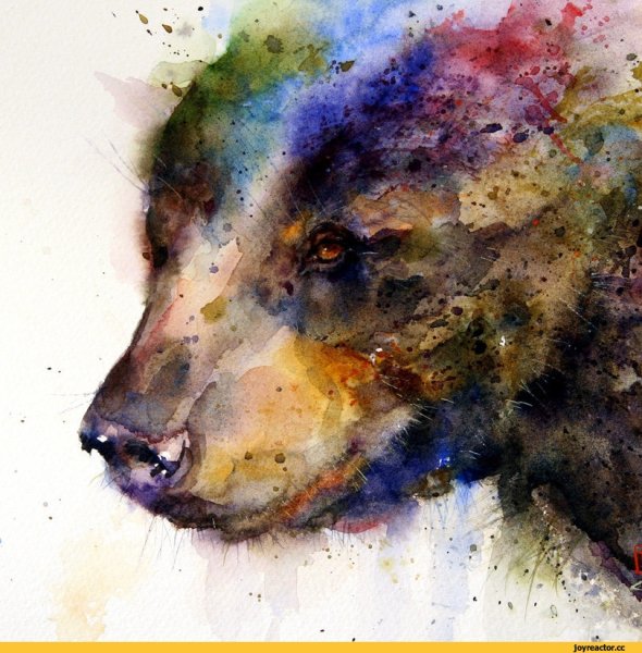 Морда медведя арт