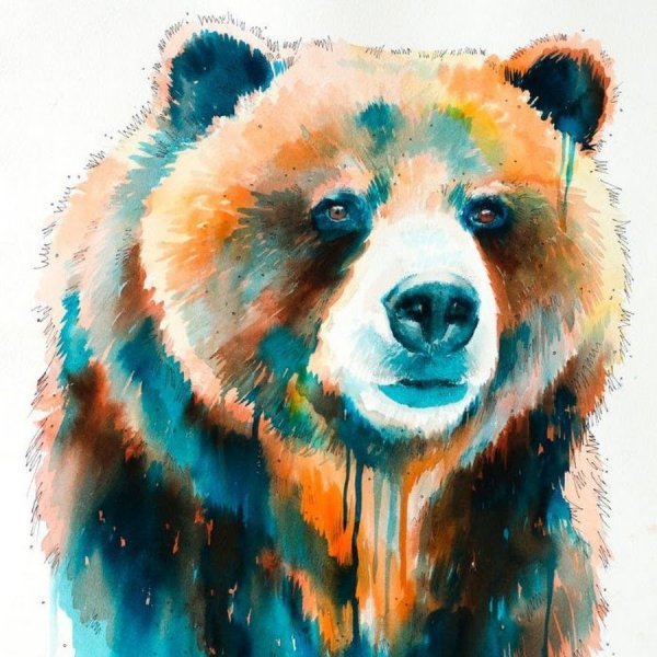 Медведь арт