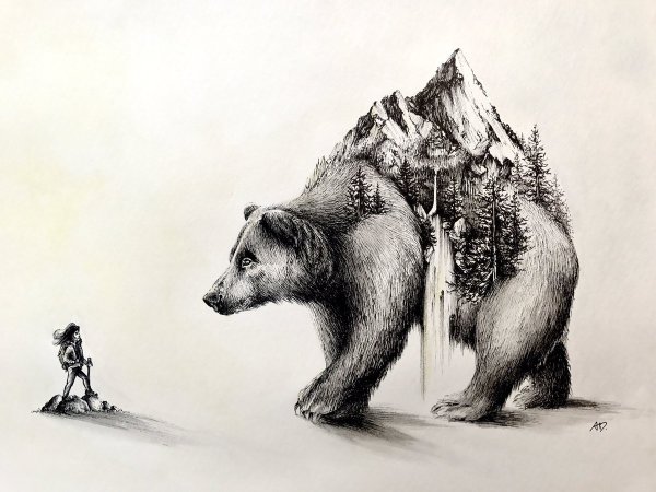 Медведь на аву