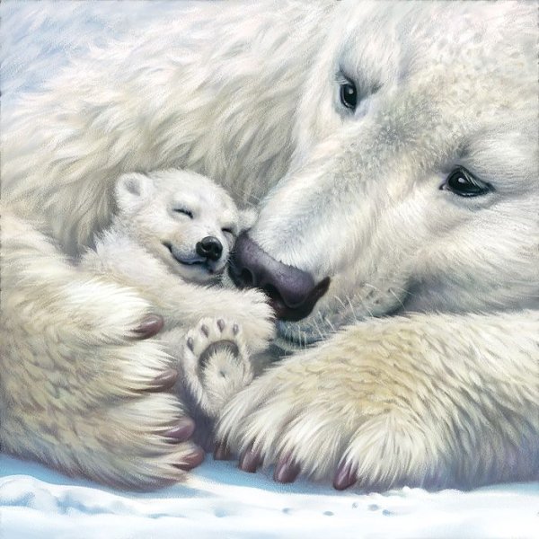 Смешные медведи мультяшные