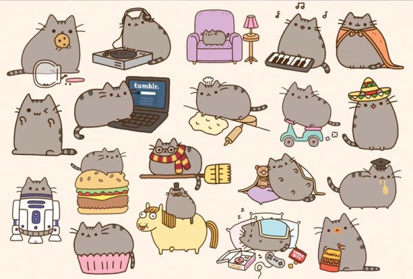 Пушин зе Кэт