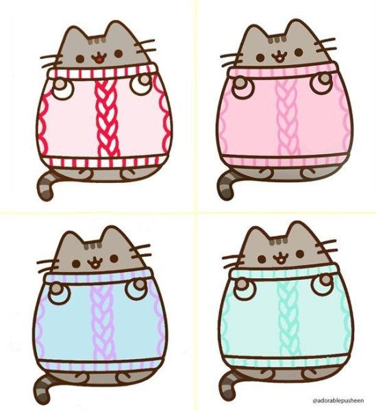 Пушин Кэт учитель