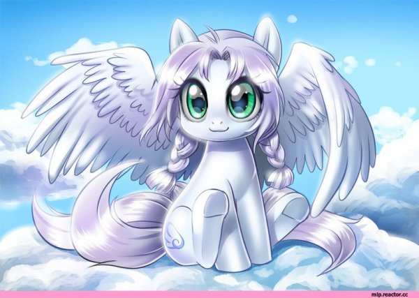 Крылья пони