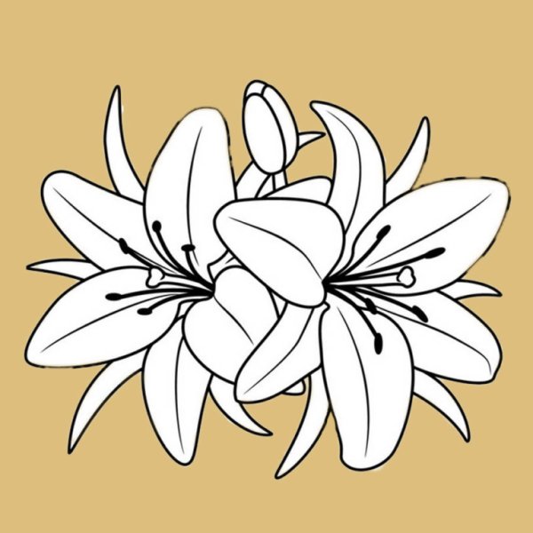 Раскраски для девочек цветы