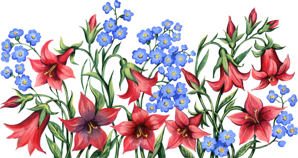 Цветы рисунок