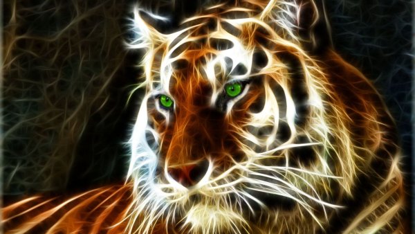 Огненный тигр