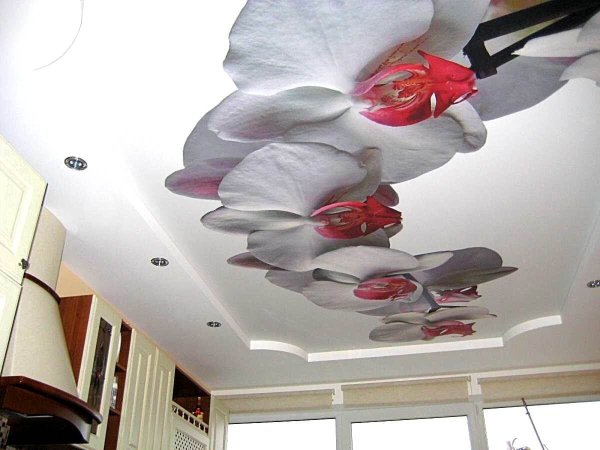 Натяжные потолки с фотопечатью для кухни