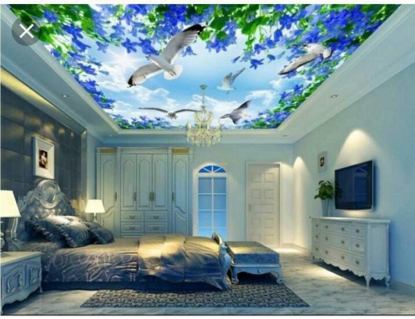 Натяжные потолки с фотопечатью