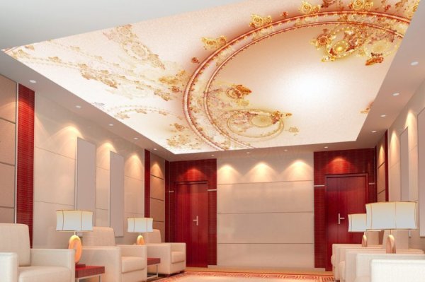 Потолки с фотопечатью в зал