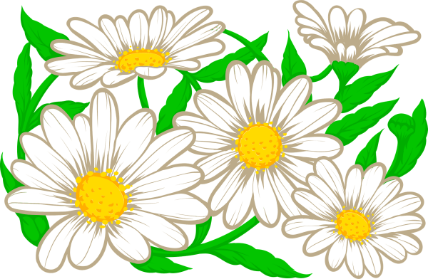 Ромашка рисунок