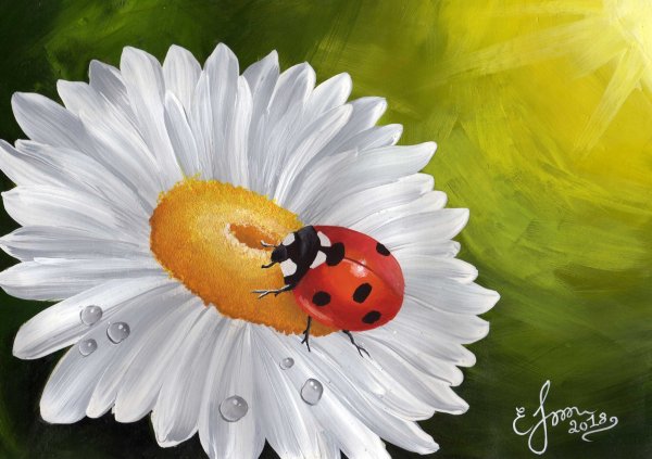 Ромашка карандашом