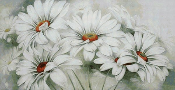 Ромашки Дейзи Флауэр