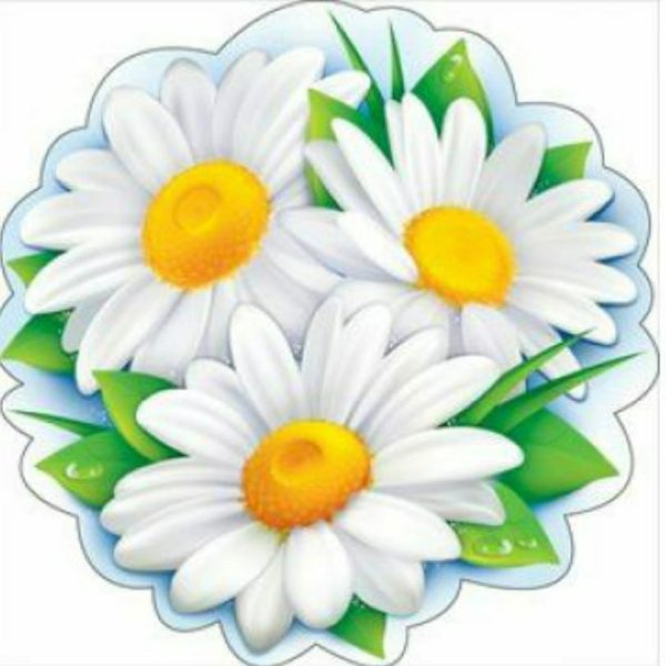 Ромашка вектор на прозрачном фоне