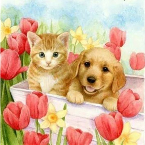 Открытки с котятами и щенками