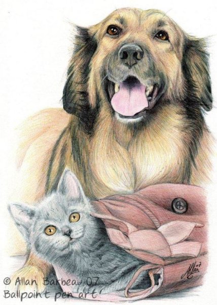 Зарисовки собак и кошек
