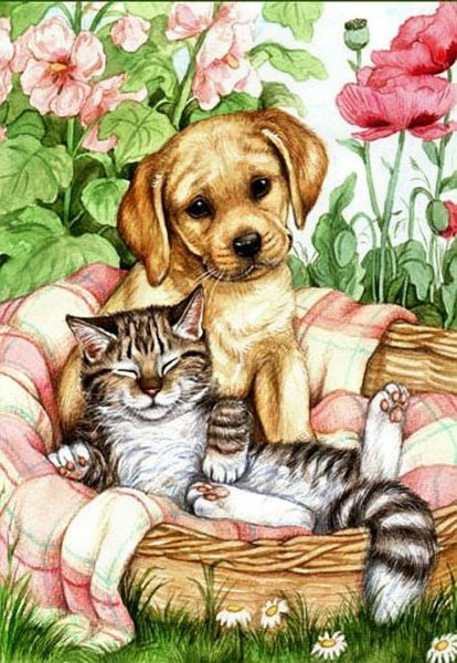 Кошка и собака рисунок